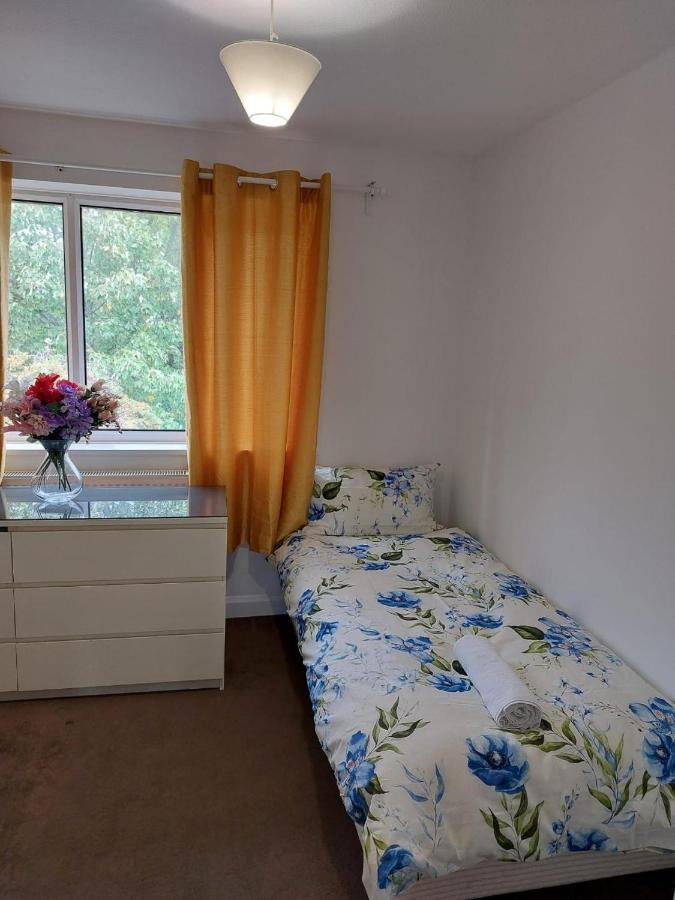 Superb 2 Bedroom Flat, Sleeps 6 クロイドン エクステリア 写真